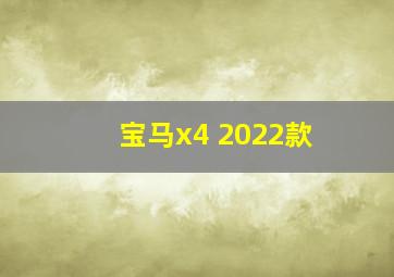 宝马x4 2022款